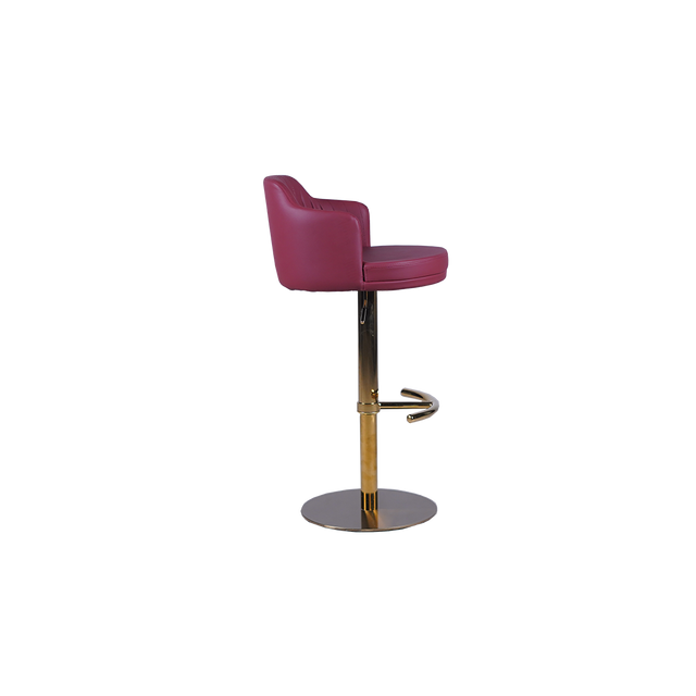 Luxury Adjustable Bar Stool with Padded Backrest - 758