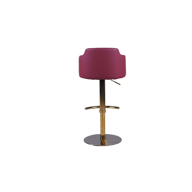 Luxury Adjustable Bar Stool with Padded Backrest - 758