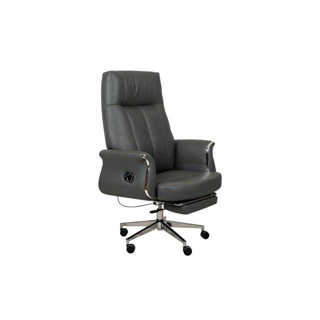 Executive Chair - 6619A