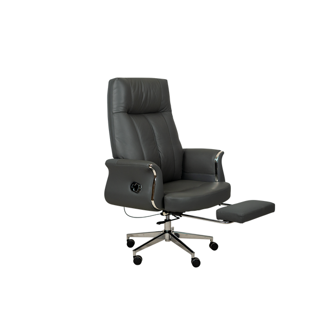 Executive Chair - 6619A