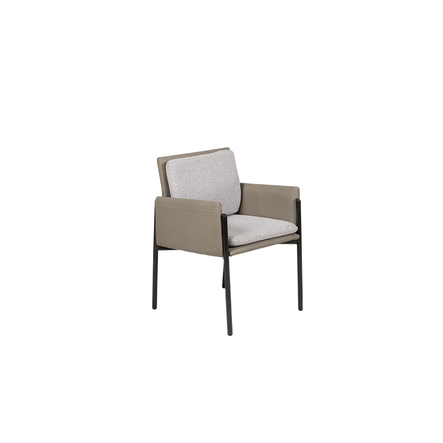 Dining Chair - Y-1073