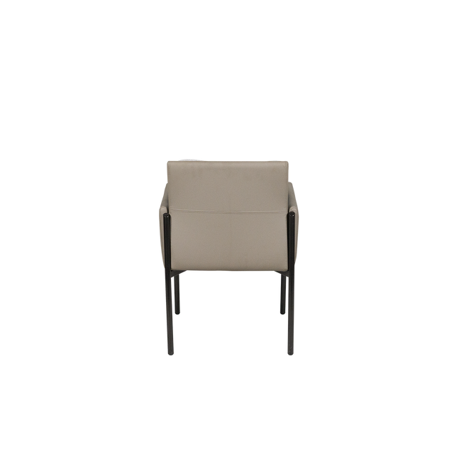 Dining Chair - Y-1073