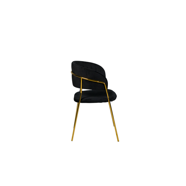 Dining Chair - Y-8
