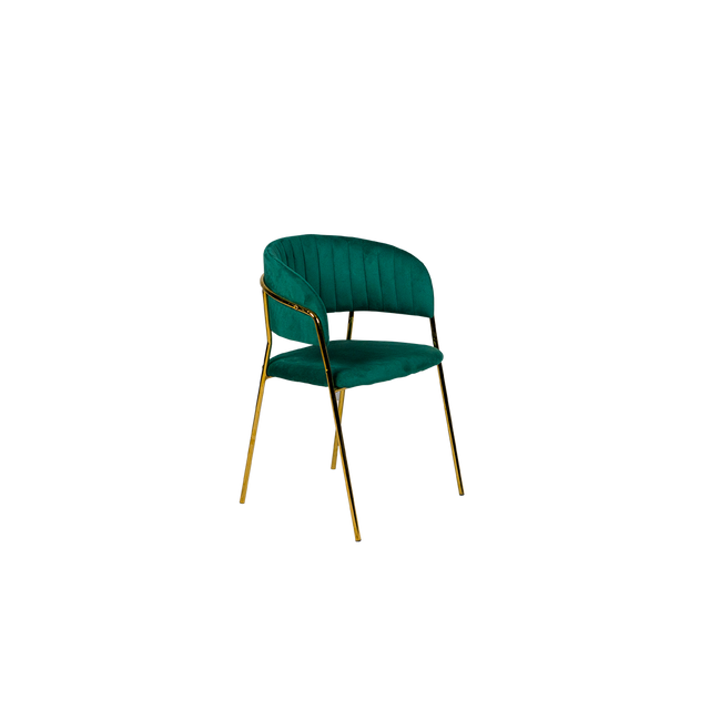 Dining Chair - Y-8