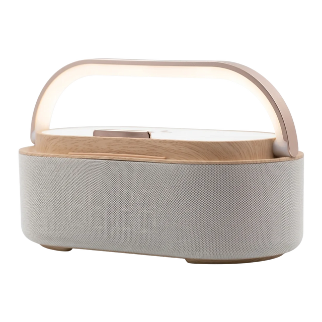 OmniSync Station – Premium Desk Organizer -D-1