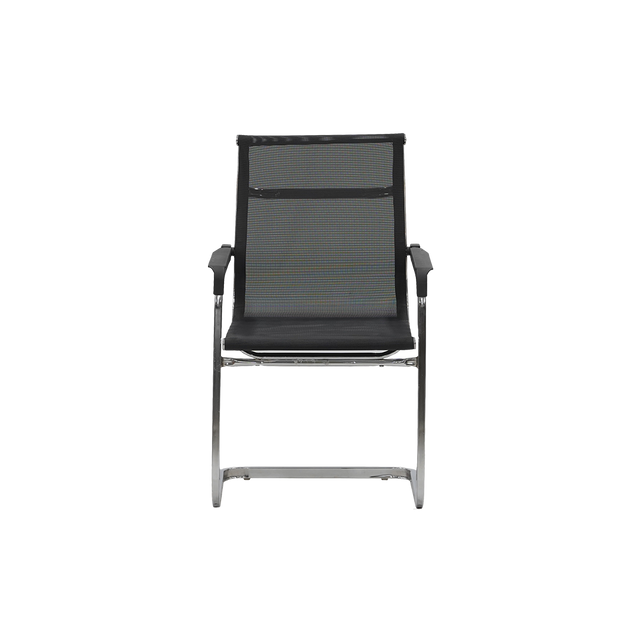 Visitor Chair -3001