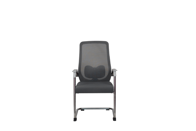 Visitor Chair - 313C - Office Empire