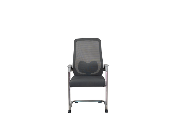 Visitor Chair - 313C