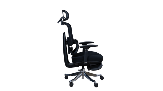 Revolving Chair - Beetle