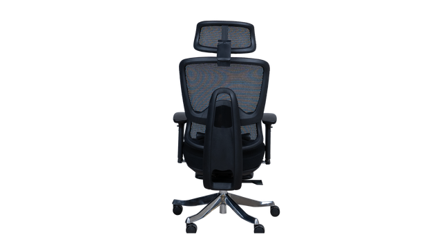 Revolving Chair - Beetle