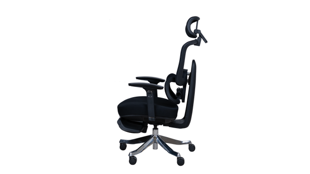 Revolving Chair - Beetle