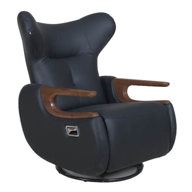 Midsten Recliner Lounge Chair - D855