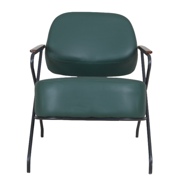 Mud Soft Lounge Chair - ZH-8156