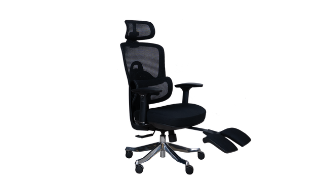 Revolving Chair - Beetle