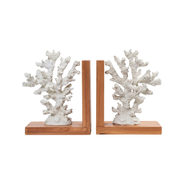 Oceanic Reef Bookends - V1