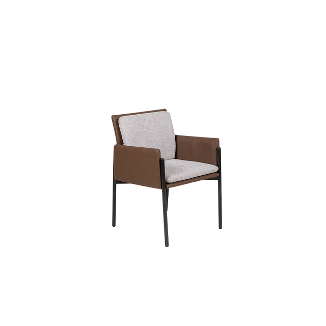 Dining Chair - Y-1073