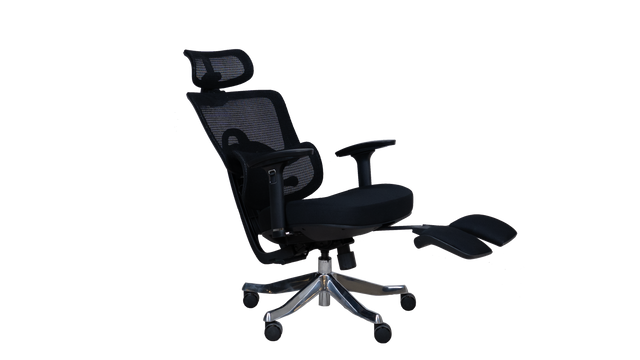 Revolving Chair - Beetle