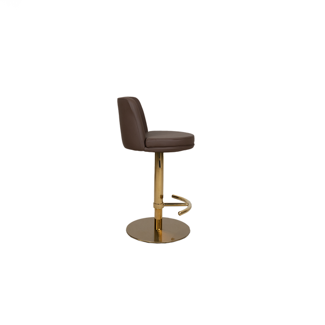 Modern Adjustable Bar Stool with Cushioned Backrest - 2302