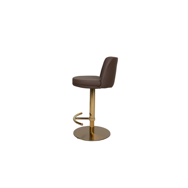 Modern Adjustable Bar Stool with Cushioned Backrest - 2302