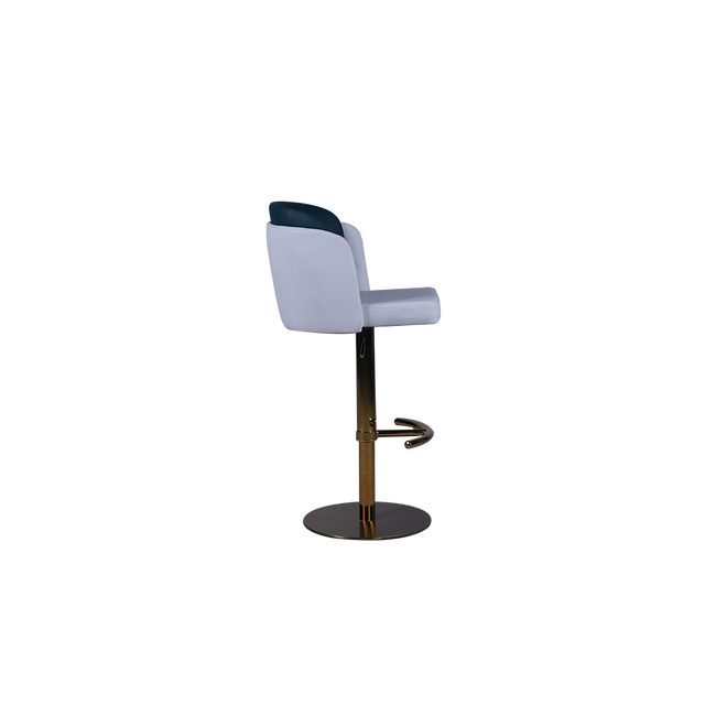 Modern Two-Tone Adjustable Bar Stool - 759