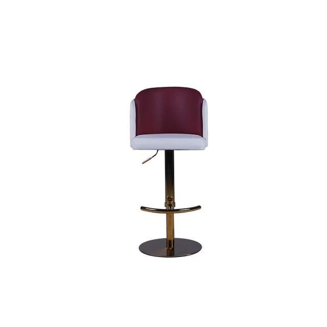 Modern Two-Tone Adjustable Bar Stool - 759