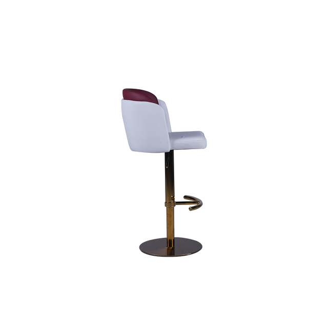 Modern Two-Tone Adjustable Bar Stool - 759