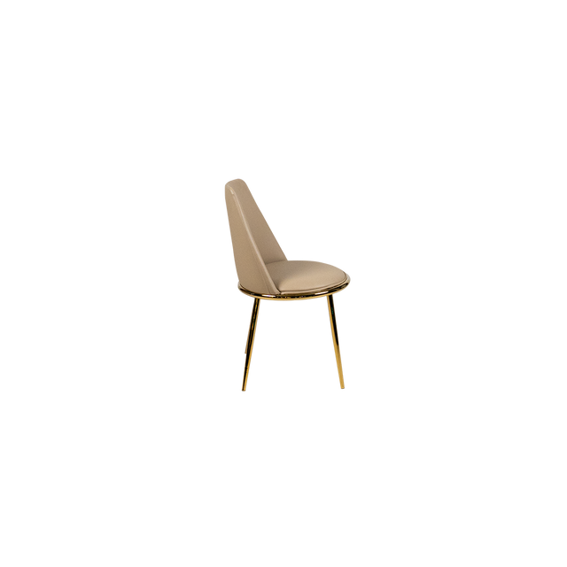 Dining Chair - Y-6