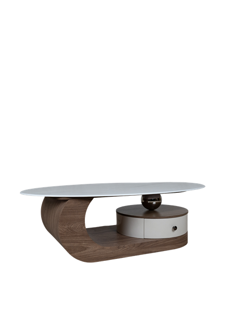 Modern Curved Wood Center Table with Storage CJ024