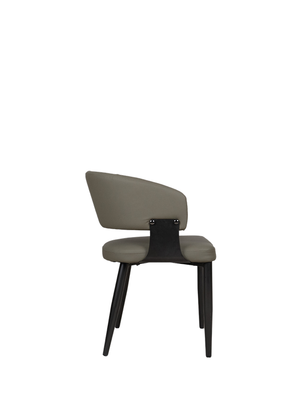 Modern Upholstered Dining Chair in Pakistan - 810