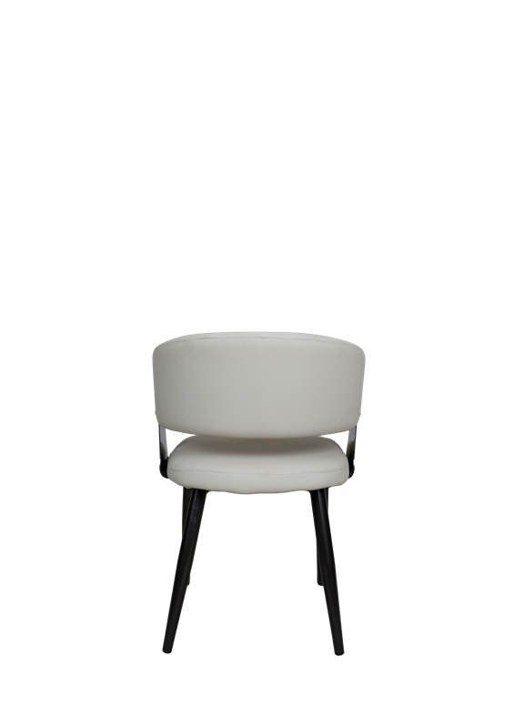 Modern Upholstered Dining Chair in Pakistan - 810
