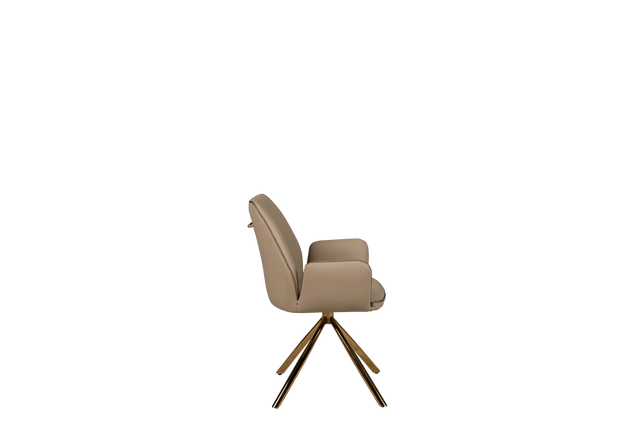 Dining Chair - 122