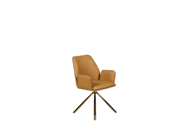 Dining Chair - 122