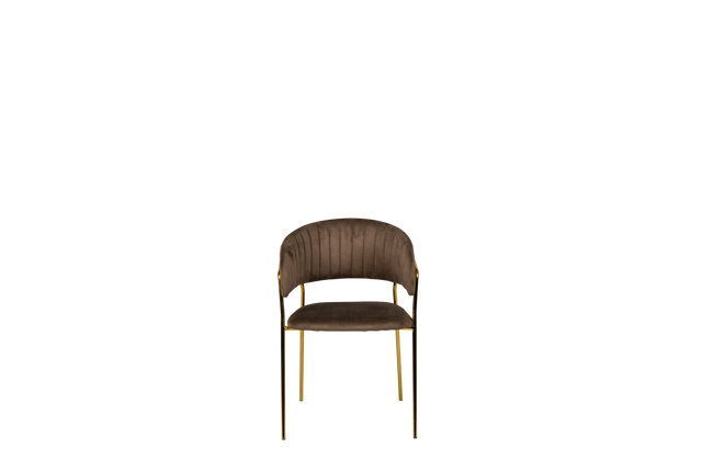 Dining Chair - Y-8