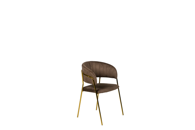 Dining Chair - Y-8