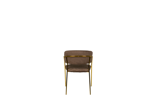 Dining Chair - Y-8