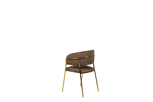 Dining Chair - Y-8