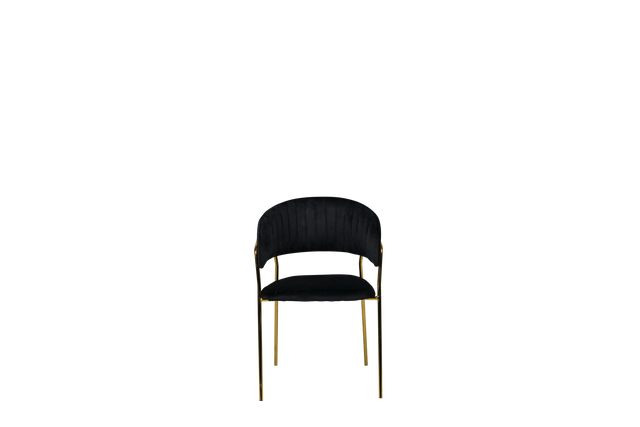 Dining Chair - Y-8