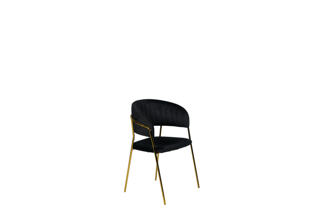 Dining Chair - Y-8
