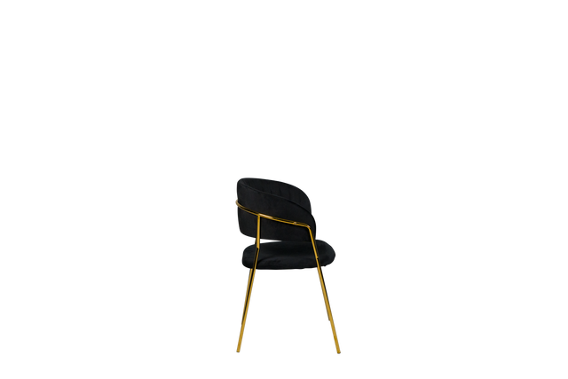 Dining Chair - Y-8