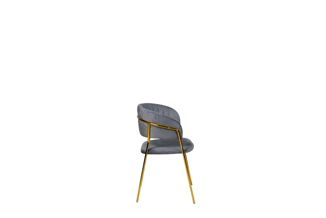 Dining Chair - Y-8