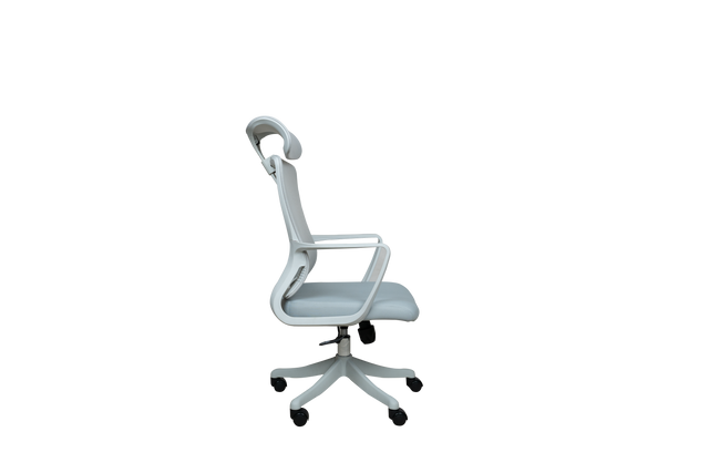 Revolving Chair - 303A