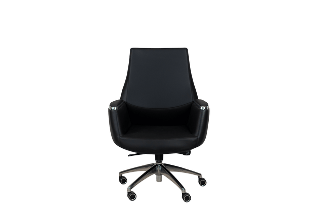 Executive Chair - B202 - Office Empire