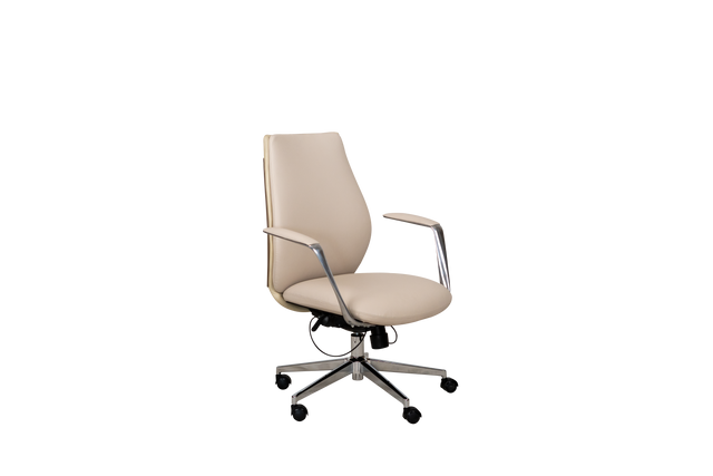 Executive Chair - B303