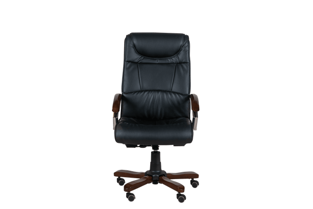 Executive Chair - 8095 - Office Empire