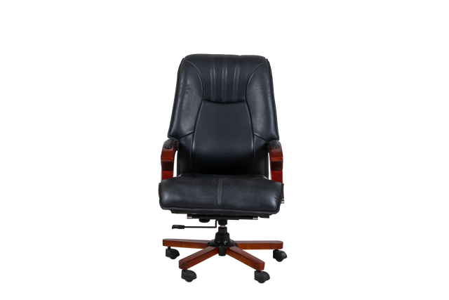 Executive Chair - 396 JIN