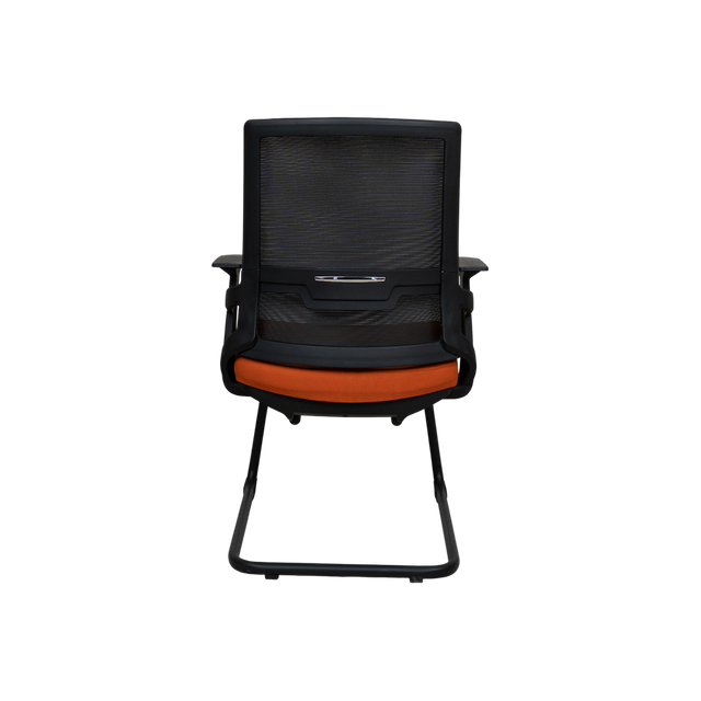 Visitor Chair - D3006