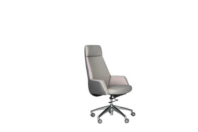 Executive Chair - A525