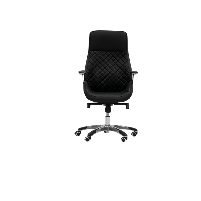 Executive Chair - A163