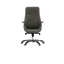 Executive Chair - A163