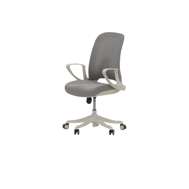 Revolving Chair - B816